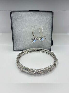 Dragonfly Earrings and bangle bundle.